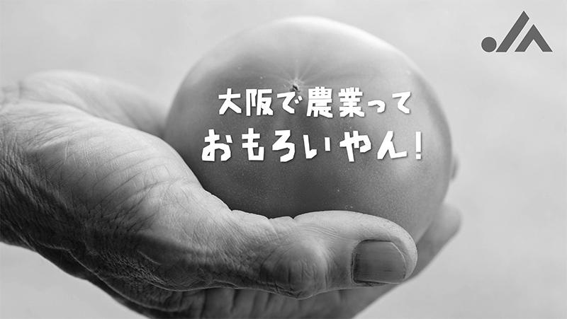 農業×大阪×働く「大阪で農業っておもろいやん」：JAグループ大阪 image 0