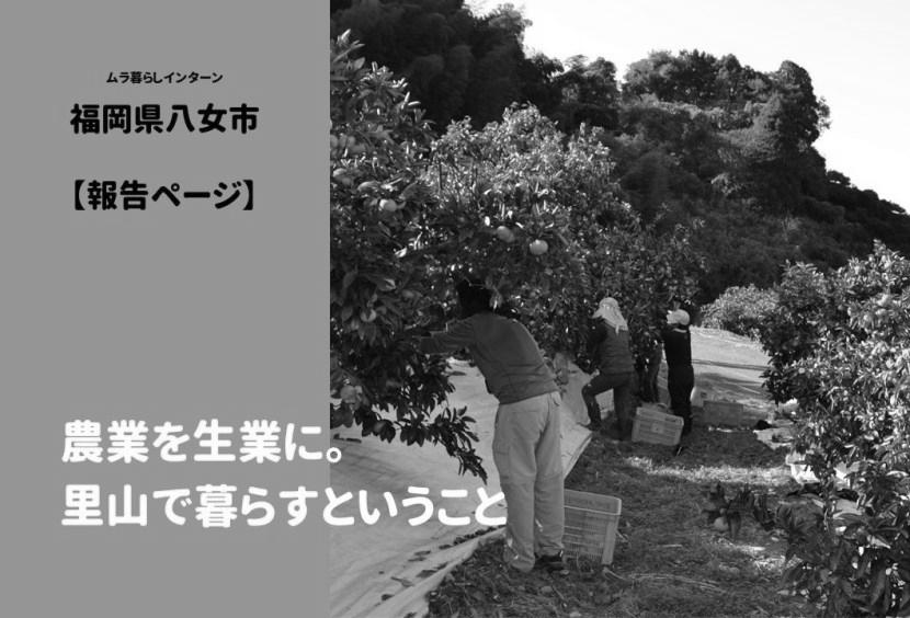 新規就農「はじめの一歩」村　現地レポート! photo 1