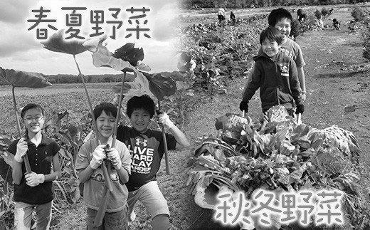 ＪＡ北大阪支援型 農業体験貸農園の取り組み紹介 photo 1