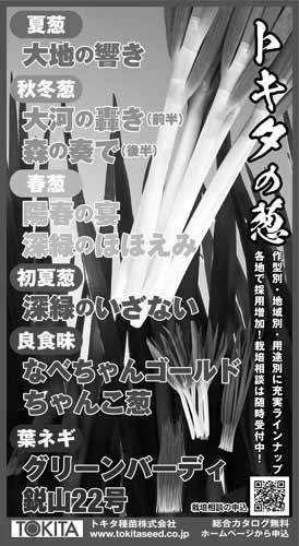 旬菜新聞　２０１７年冬号　小松菜生産者の紹介 image 1