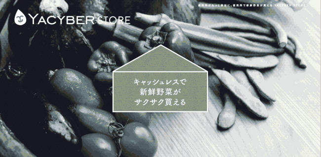 JA大阪南茄子部会「大阪なすを食べてもらおうプロジェクト」を展開 image 0